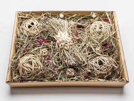 The Bun Garden Grass Based